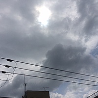 今日の予約　８月１７日（水）　曇りのち晴れ　最高気温３５℃サムネイル