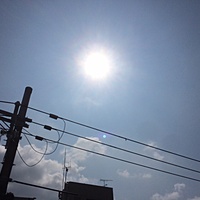 今日の予約　８月１９日（金）　晴れのち曇り　最高気温３６℃サムネイル