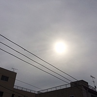 今日の予約状況　１０月２１日（金）　曇りのち晴れ　最高気温２３℃サムネイル