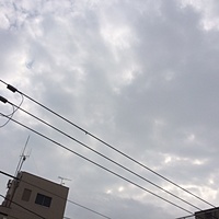 今日の予約状況　１０月２６日（水）　曇りのち雨　最高気温２６℃サムネイル