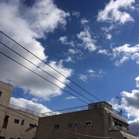 鍼灸予約状況　１２月１５日（木）晴れ　最高気温９℃　（京都の鍼灸院　泰楽）サムネイル