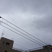 鍼灸予約　12月27日(火) 雨　最高気温11℃　(京都の鍼灸院　泰楽）サムネイル
