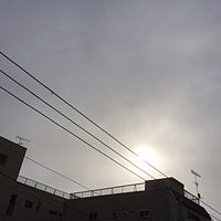 鍼灸予約　12月28日(水) 曇りのち晴れ　最高気温7℃　(京都の鍼灸院　泰楽）サムネイル