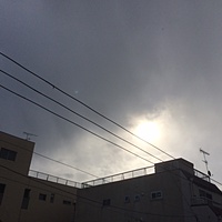鍼灸予約　1月14日(土) 雪　最高気温5℃　(京都の鍼灸院　泰楽）サムネイル
