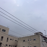 鍼灸予約　1月21日(土) 曇り　最高気温8℃　(京都の鍼灸院　泰楽）サムネイル
