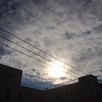 鍼灸予約　1月24日(火) 曇りのち雪　最高気温5℃　(京都の鍼灸院　泰楽）サムネイル
