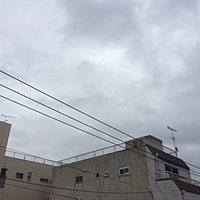 鍼灸予約　1月30日(月) 雨　最高気温11℃　(京都の鍼灸院　泰楽）サムネイル
