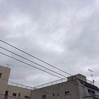 鍼灸予約　1月31日(火) 曇りのち晴れ　最高気温8℃　(京都の鍼灸院　泰楽）サムネイル