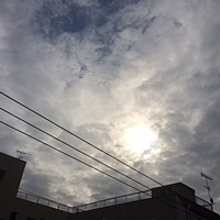 鍼灸予約　2月1日(水) 曇り　最高気温9℃　(京都の鍼灸院　泰楽）サムネイル