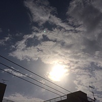 鍼灸予約　2月7日(火) 曇り　最高気温6℃　(京都の鍼灸院　泰楽）サムネイル