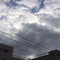 鍼灸予約　2月8日(木) 曇りのち晴れ　最高気温8℃　(京都の鍼灸院　泰楽）サムネイル