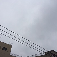 鍼灸予約　2月9日(木) 雪のち曇り　最高気温8℃　(京都の鍼灸院　泰楽）サムネイル