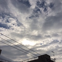 鍼灸予約　2月13日(月) 曇りのち晴れ　最高気温7℃　(京都の鍼灸院　泰楽）サムネイル