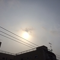 鍼灸予約　2月14日(火) 曇り時々雪　最高気温8℃　(京都の鍼灸院　泰楽）サムネイル