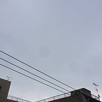鍼灸予約　2月17日(金) 曇りのち雨　最高気温15℃　(京都の鍼灸院　泰楽）サムネイル