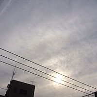 鍼灸予約　2月18日(土) 曇りのち雨　最高気温11℃　(京都の鍼灸院　泰楽）サムネイル