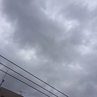 鍼灸予約　2月21日(火) 曇り時々晴れ　最高気温7℃　(京都の鍼灸院　泰楽）サムネイル