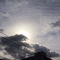 鍼灸予約　2月24日(金) 曇りのち晴れ　最高気温8℃　(京都の鍼灸院　泰楽）サムネイル