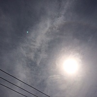 鍼灸予約　3月1日(水) 晴れのち曇り　最高気温13℃　(京都の鍼灸院　泰楽）サムネイル