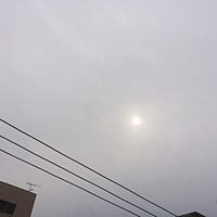 鍼灸予約　3月6日(月) 曇り　最高気温15℃　(京都の鍼灸院　泰楽）サムネイル