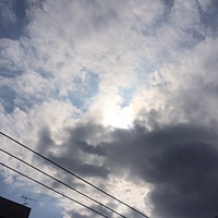 鍼灸予約　3月8日(水) 晴れのち曇り　最高気温9℃　(京都の鍼灸院　泰楽）サムネイル
