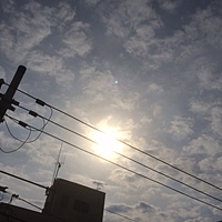 鍼灸予約　3月18日(土) 晴れのち曇り　最高気温15℃　(京都の鍼灸院　泰楽)サムネイル