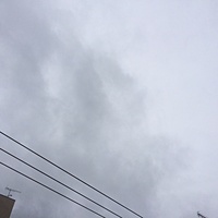 鍼灸予約　3月21日(火) 雨時々止む　最高気温11℃　(京都の鍼灸院　泰楽)サムネイル