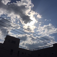 鍼灸予約　3月22日(水) 曇りのち晴れ　最高気温13℃　(京都の鍼灸院　泰楽)サムネイル