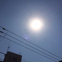 鍼灸予約　3月28日(火) 晴れのち曇り 最高気温14℃(京都の鍼灸院　泰楽)サムネイル