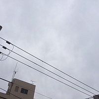 鍼灸予約　3月31日(金) 曇りのち雨 最高気温12℃(京都の鍼灸院　泰楽)サムネイル
