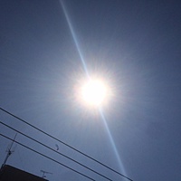 鍼灸予約　4月4日(火) 晴れ 最高気温21℃(京都の鍼灸院　泰楽)サムネイル