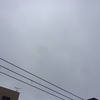 鍼灸予約　4月8日(土) 曇り時々雨 最高気温23℃(京都の鍼灸院　泰楽)サムネイル