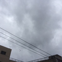 鍼灸予約　4月11日(火) 雨のち曇り 最高気温15℃(京都の鍼灸院　泰楽)サムネイル