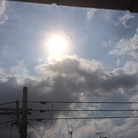 鍼灸予約　5月15日(月) 晴れのち曇り 最高気温27℃(京都の鍼灸院　泰楽)サムネイル
