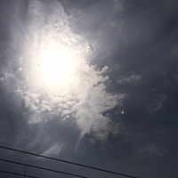 鍼灸予約　5月17日(水) 晴れ時々曇り 最高気温25℃(京都の鍼灸院　泰楽)サムネイル