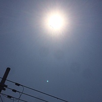 鍼灸予約　5月29日(月) 晴れ 最高気温32℃(京都の鍼灸院　泰楽)サムネイル
