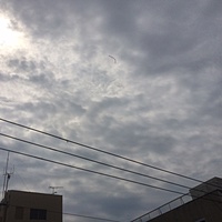 鍼灸予約　6月27日(火) 曇りのち雨 最高気温29℃(京都の鍼灸院　泰楽)サムネイル