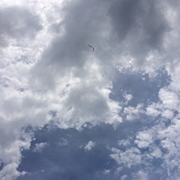 鍼灸予約 7月3日(月) 曇りのち晴れ 最高気温35℃(京都の鍼灸院　泰楽)サムネイル