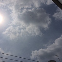 鍼灸予約 7月8日(土) 曇り時々晴れ 最高気温34℃(京都の鍼灸院　泰楽)サムネイル