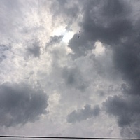 鍼灸予約 7月12日(水) 曇りのち時々雨 最高気温32℃(京都の鍼灸院　泰楽)サムネイル