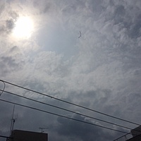 鍼灸予約 7月14日(金) 曇り時々晴れ 最高気温35℃(京都の鍼灸院　泰楽)サムネイル