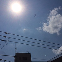 鍼灸予約 7月20日(木) 晴れのち曇り 最高気温35℃(京都の鍼灸院　泰楽)サムネイル