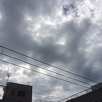 鍼灸予約 7月21日(金) 晴れ時々曇り 最高気温35℃(京都の鍼灸院　泰楽)サムネイル