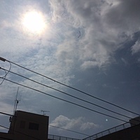 鍼灸予約 8月1日(火) 曇り 最高気温34℃(京都の鍼灸院　泰楽)サムネイル