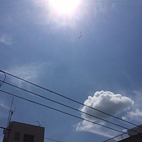 鍼灸予約 8月2日(水) 曇りのち晴れ 最高気温33℃(京都の鍼灸院　泰楽)サムネイル