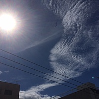 鍼灸予約 8月5日(土) 曇りのち晴れ 最高気温35℃(京都の鍼灸院　泰楽)サムネイル