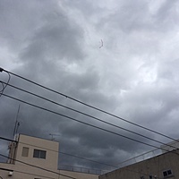 鍼灸予約 8月8日(火) 曇りのち晴れ 最高気温34℃(京都の鍼灸院　泰楽)サムネイル