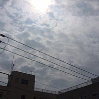 鍼灸予約 8月11日(金・祝) 晴れのち雨 最高気温36℃(京都の鍼灸院　泰楽)サムネイル