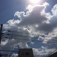 鍼灸予約 8月24日(木) 晴れのち曇り 最高気温37℃(京都の鍼灸院　泰楽)サムネイル