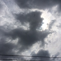 鍼灸予約 8月25日(金) 曇り 最高気温35℃(京都の鍼灸院　泰楽)サムネイル